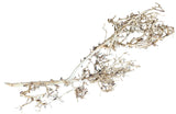 Thailand Branch Wood