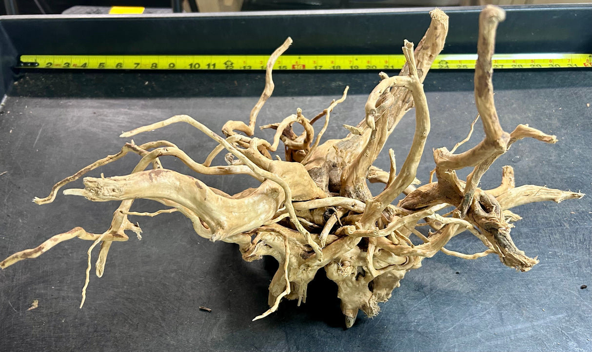 W.Y.S.I.W.Y.G.- 610 -  Large Piece of Spiderwood