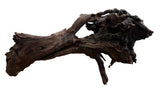 Malaysian Mangrove Sinking Driftwood