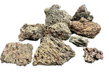  Brown Pimple ( Lava ) Rock