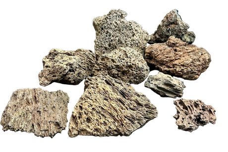 Brown Pimple ( Lava ) Rock