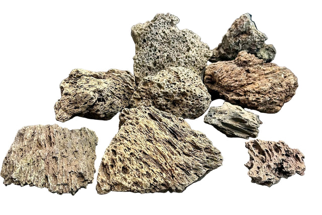  Brown Pimple ( Lava ) Rock