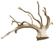 Large Piece of Spiderwood