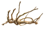 Large Piece of Spiderwood