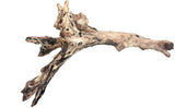 Malaysian Mangrove Sinking Driftwood