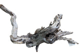 Malaysian Sinking Driftwood
