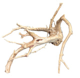 Spiderwood