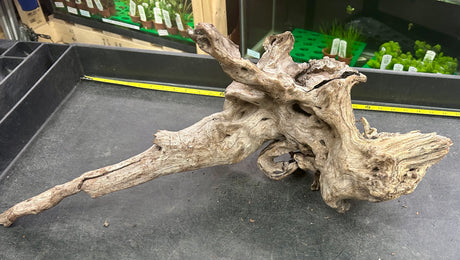 W.Y.S.I.W.Y.G.- 404 - Malaysian Mangrove Wood