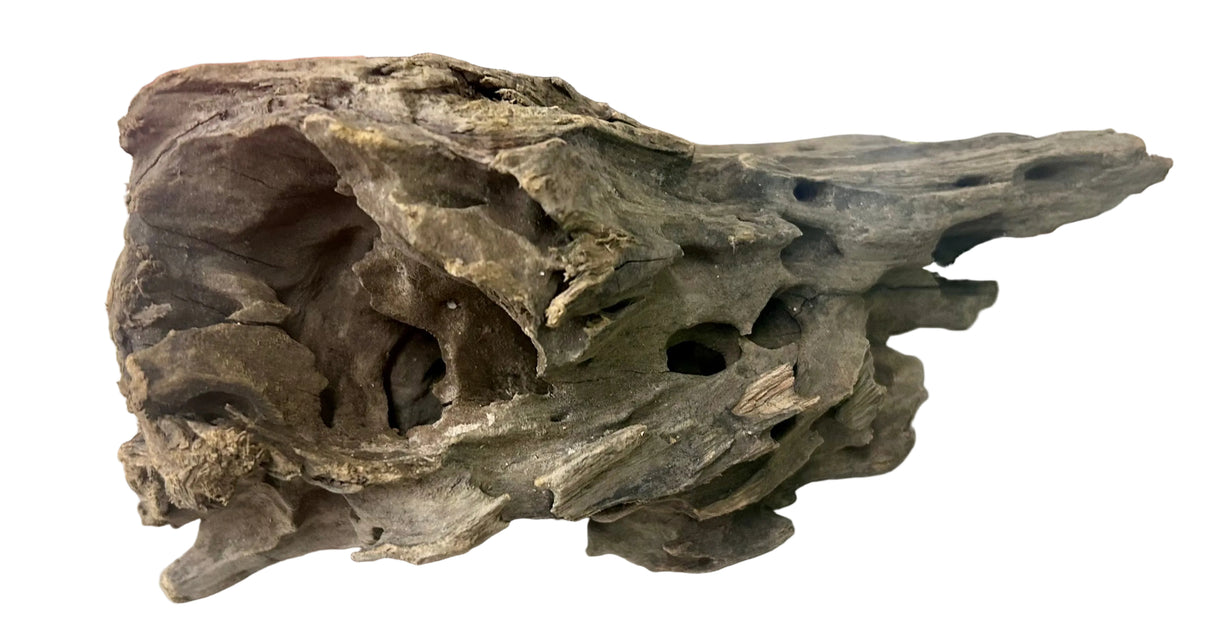 Texture / Shrimp Driftwood