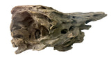 Texture / Shrimp Driftwood
