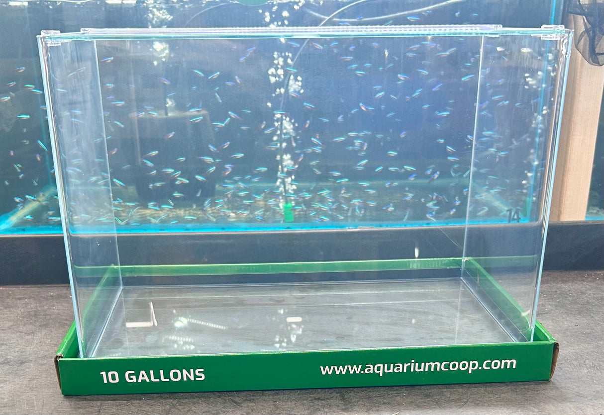Aquarium Co-Op Curved Front Glass Aquarium | Aquariums | Largest Tropical Fish Selection at Your Local Fish Store