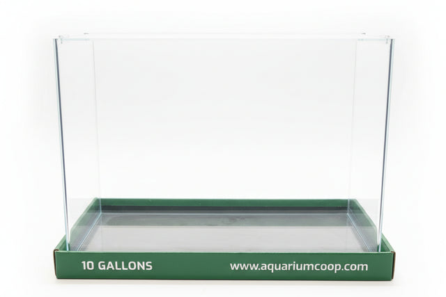 Aquarium Co-Op Curved Front Glass Aquarium | Aquariums | Largest Tropical Fish Selection at Your Local Fish Store