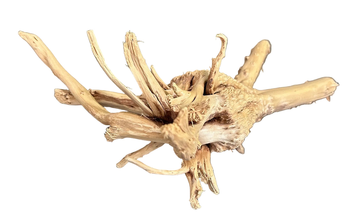 W.Y.S.I.W.Y.G.- 609 - Piece of Spiderwood | Substrates & Hardscape | Largest Tropical Fish Selection at Your Local Fish Store