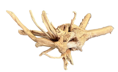 W.Y.S.I.W.Y.G.- 609 - Piece of Spiderwood | Substrates & Hardscape | Largest Tropical Fish Selection at Your Local Fish Store