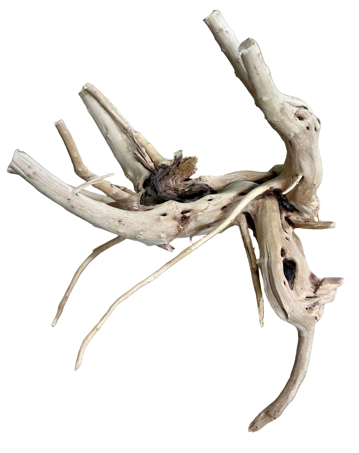 Piece of Spiderwood