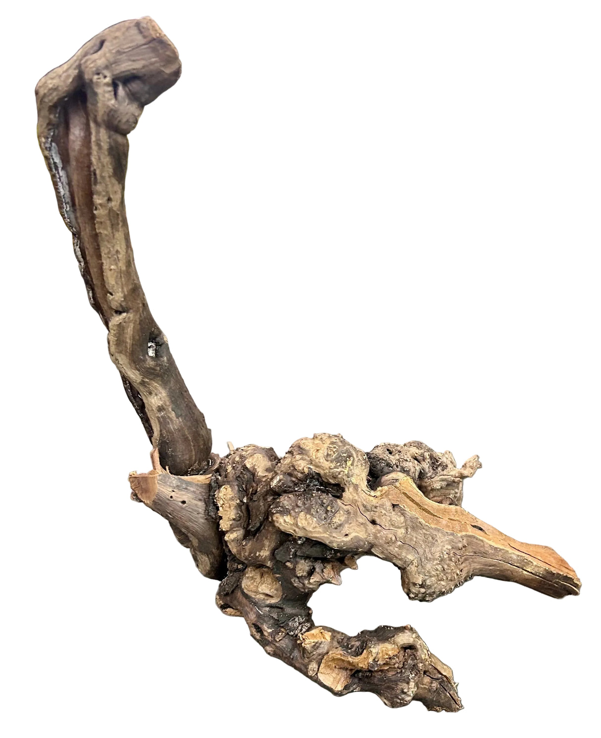 W.Y.S.I.W.Y.G.- 410 - Malaysian Mangrove Sinking Driftwood | Substrates & Hardscape | Largest Tropical Fish Selection at Your Local Fish Store