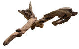 Malaysian Mangrove Sinking Driftwood