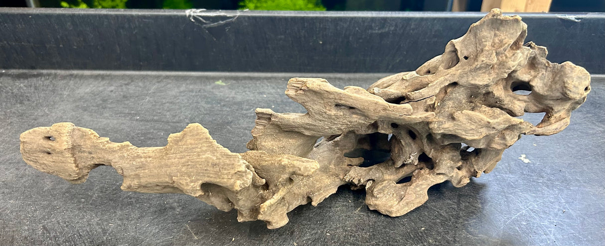 W.Y.S.I.W.Y.G.- 211 - Texture / Shrimp Driftwood