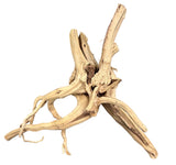  Piece of Spiderwood