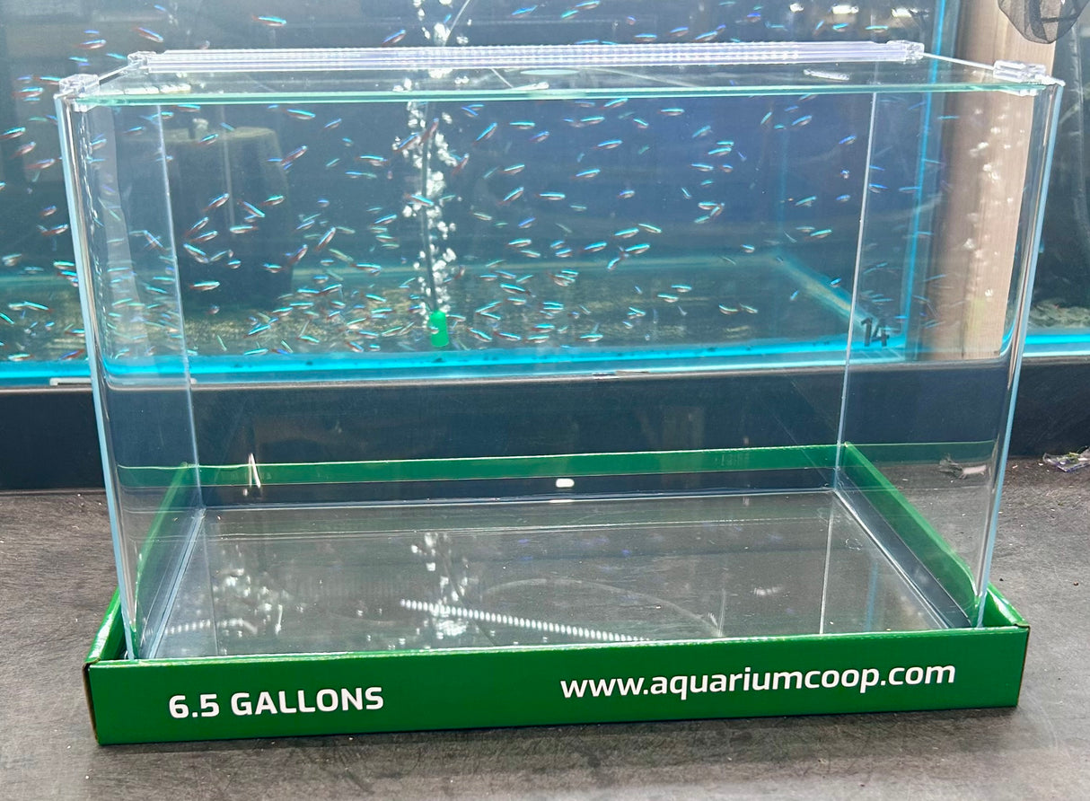 Aquarium Co-Op Curved Front Glass Aquarium | Aquariums | Largest Tropical Fish Selection at Your Local Fish Store