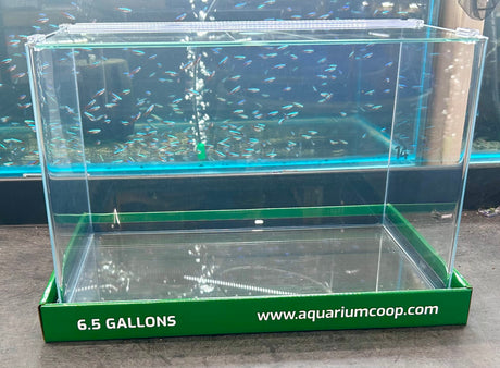Aquarium Co-Op Curved Front Glass Aquarium