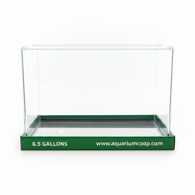 Aquarium Co-Op Curved Front Glass Aquarium | Aquariums | Largest Tropical Fish Selection at Your Local Fish Store