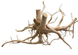 Medium Piece of Spiderwood