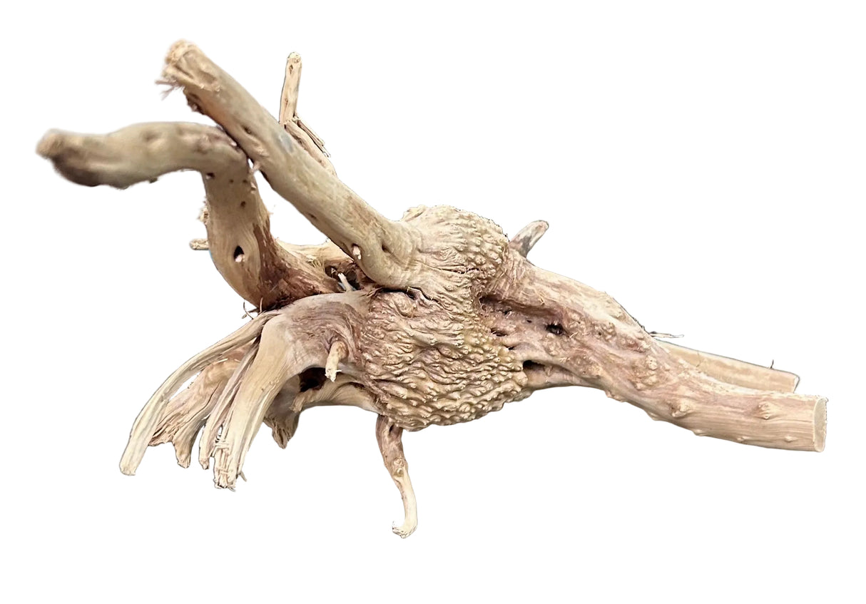 W.Y.S.I.W.Y.G.- 609 - Piece of Spiderwood | Substrates & Hardscape | Largest Tropical Fish Selection at Your Local Fish Store