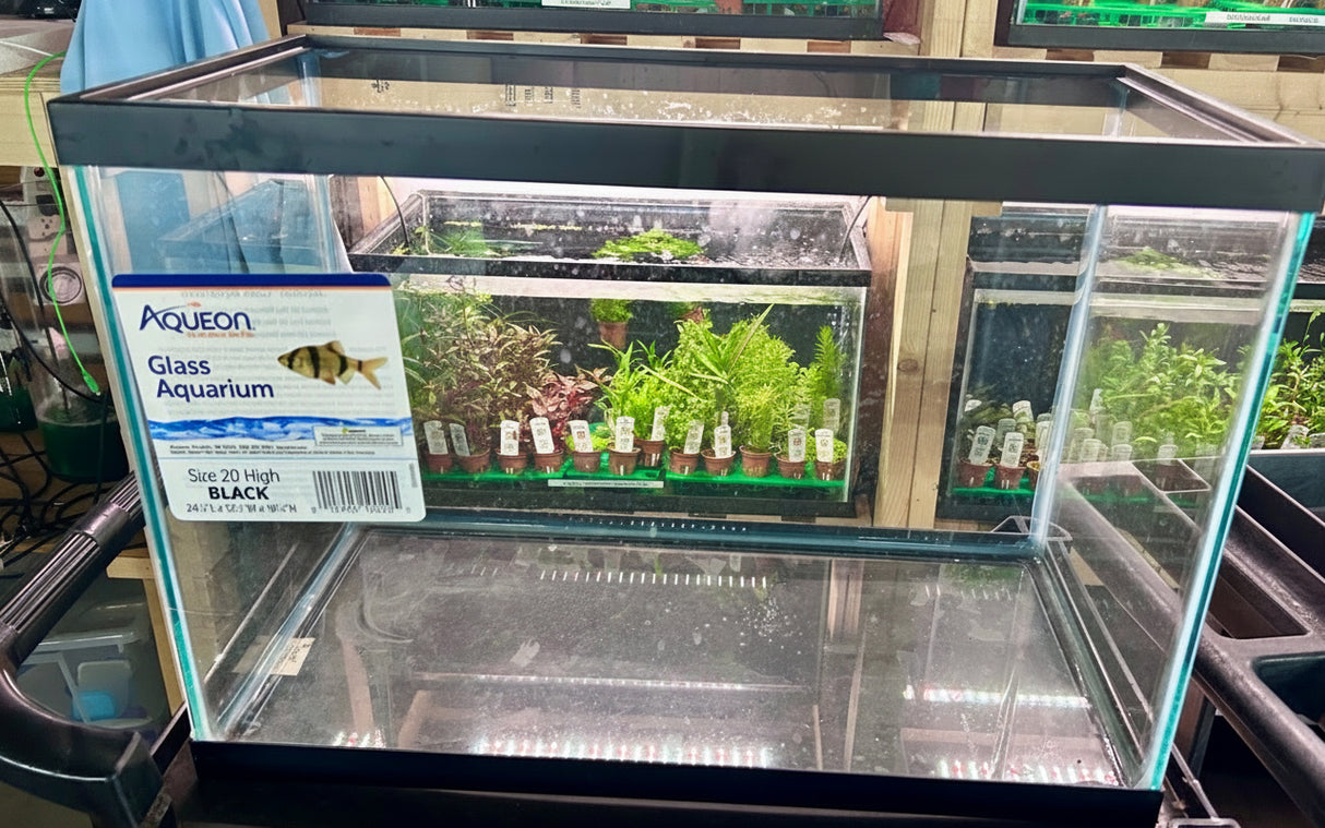 W.Y.S.I.W.Y.G. 109 - Aqueon 20 Gallon High