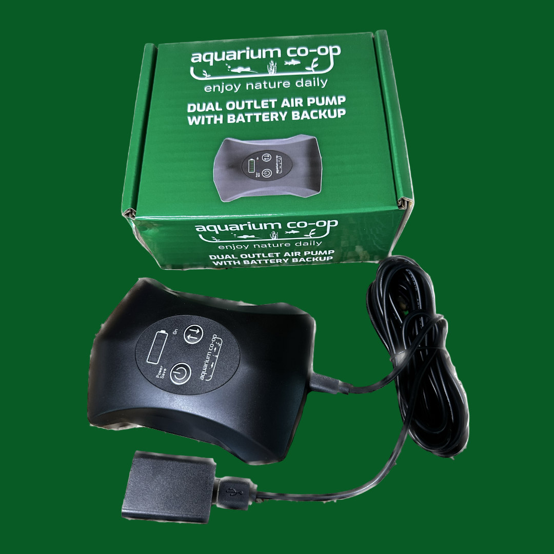 Buy Aquarium Co-Op Air Pump with Battery Backup with Dual Outlet