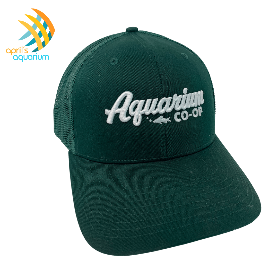 Aquarium Co-Op Snapback Hat