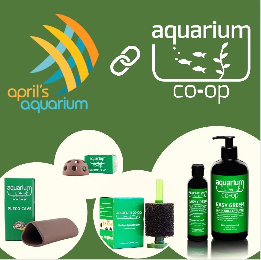 Aquarium Co-Op Tough Specimen Container