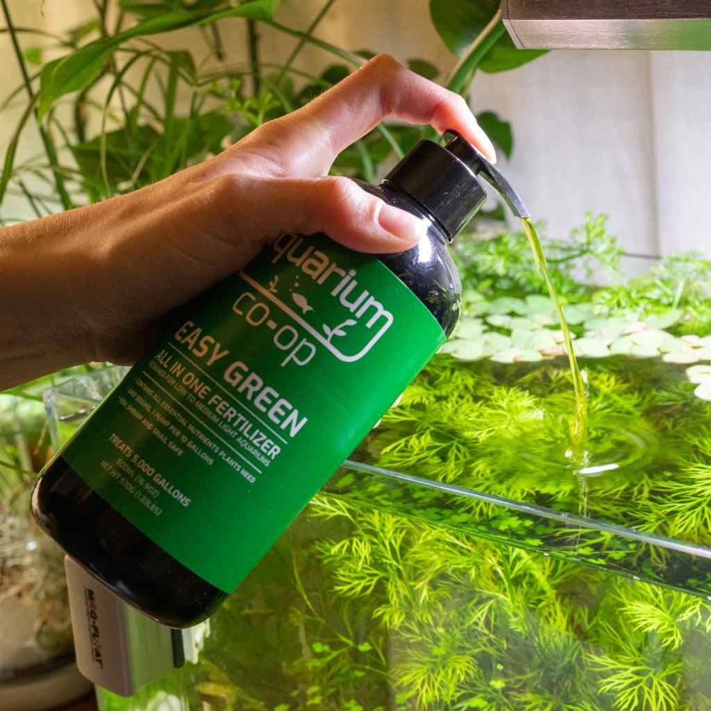 Complete CO2 Starter System Bundle for Planted Aquariums