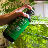 Complete CO2 Starter System Bundle for Planted Aquariums