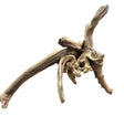 Piece of Spiderwood
