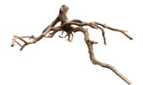 Medium Spiderwood