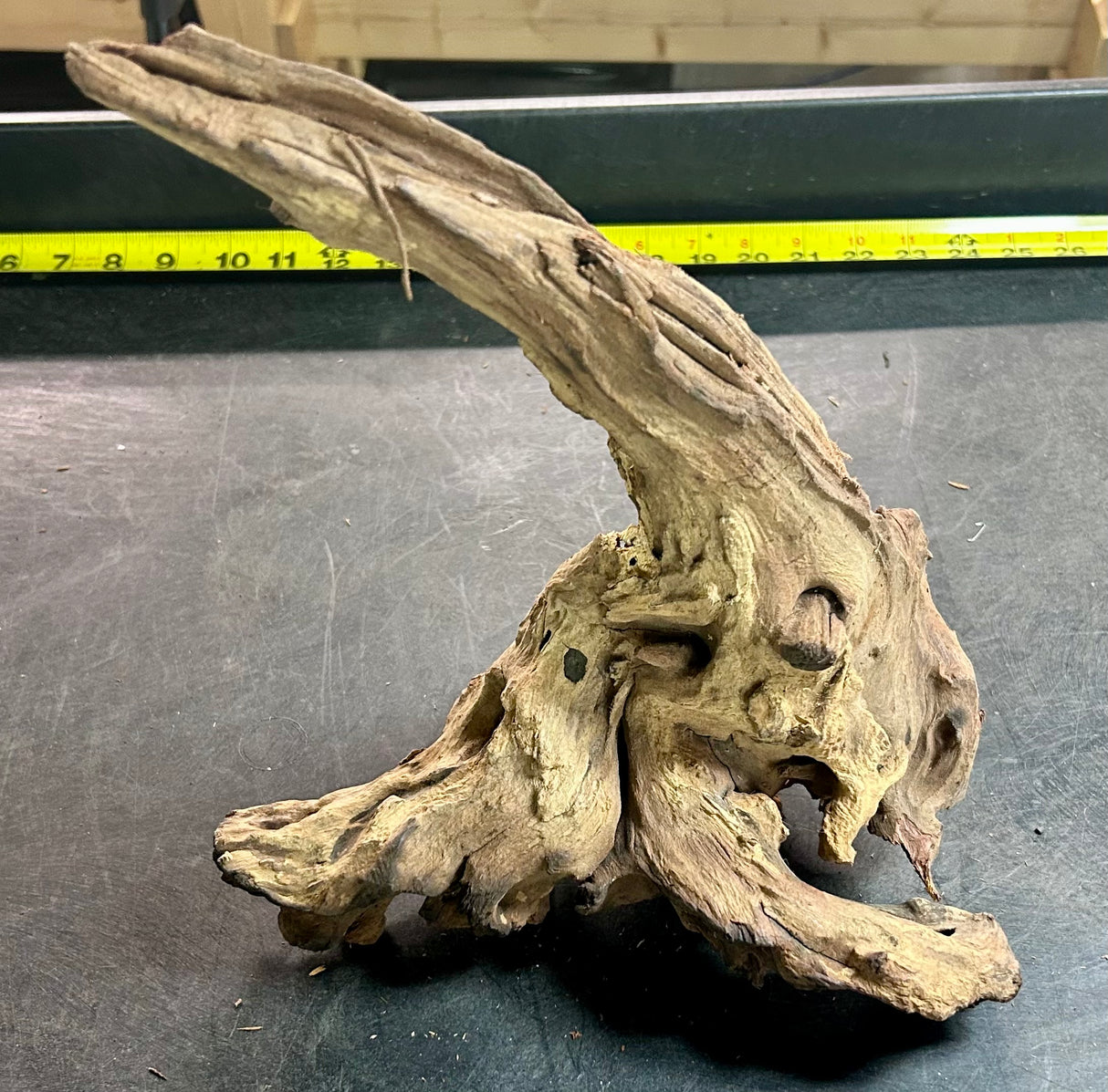 W.Y.S.I.W.Y.G.- 406 - Malaysian Mangrove Wood