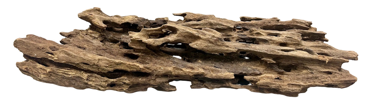 Texture / Shrimp Driftwood