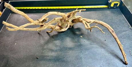 W.Y.S.I.W.Y.G.- 609 - Large Piece of Spiderwood
