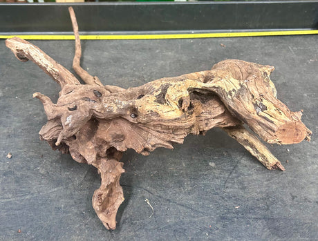 W.Y.S.I.W.Y.G.- 402 - Malaysian Mangrove Wood