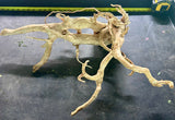 W.Y.S.I.W.Y.G.- 611 - Large Piece of Spiderwood