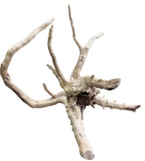 Piece of Spiderwood