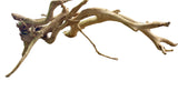 Large Piece of Spiderwood