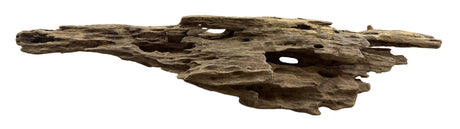 Texture / Shrimp Driftwood