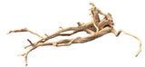  Large Piece of Spiderwood