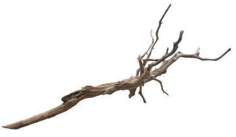 Red Moor Spiderwood&nbsp;