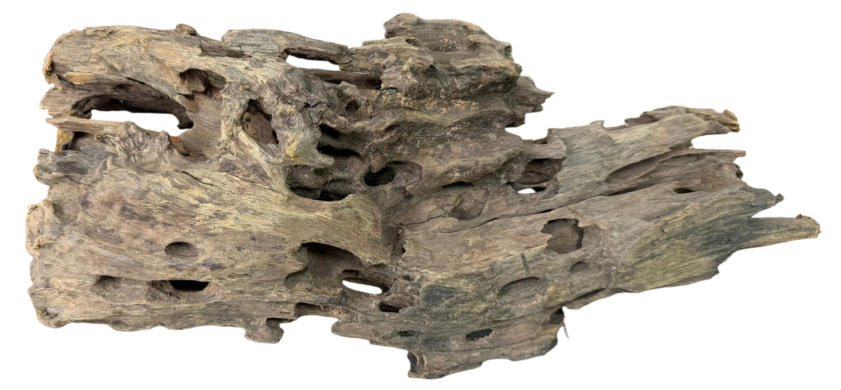 Texture / Shrimp Driftwood