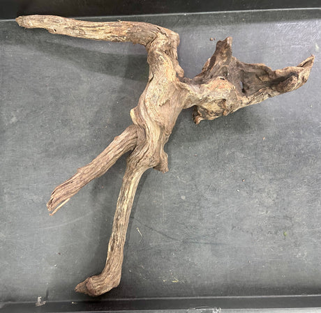 W.Y.S.I.W.Y.G.- 210 - Malaysian Sinking  Driftwood