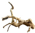 Large Piece of Spiderwood