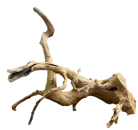 Large Piece of Spiderwood